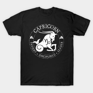 Capricorn Zodiac Birthday Star Sign Zodiac Gift T-Shirt